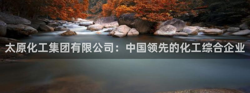 球盟会封禁：太原化工集团有限公司：中国领先的化工综合企业