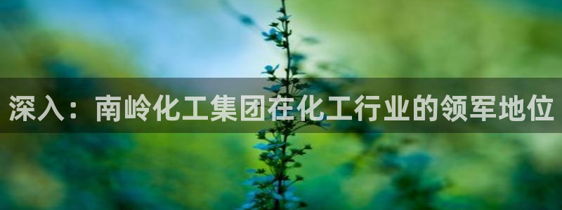球盟会app入口