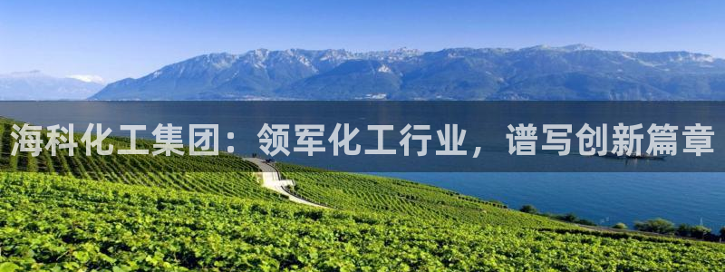 球盟会和中欧合作吗