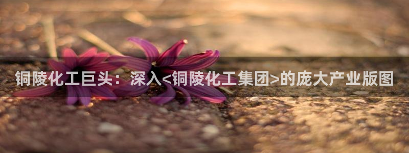 球盟会在线官网