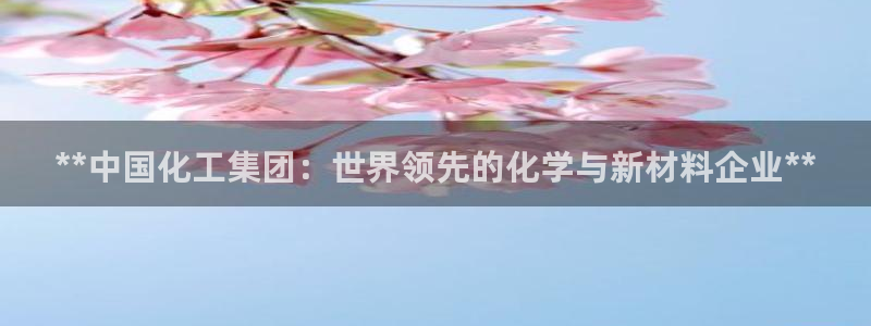 球盟会app网址多少