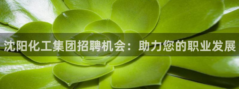 球盟会app最新地址在哪里