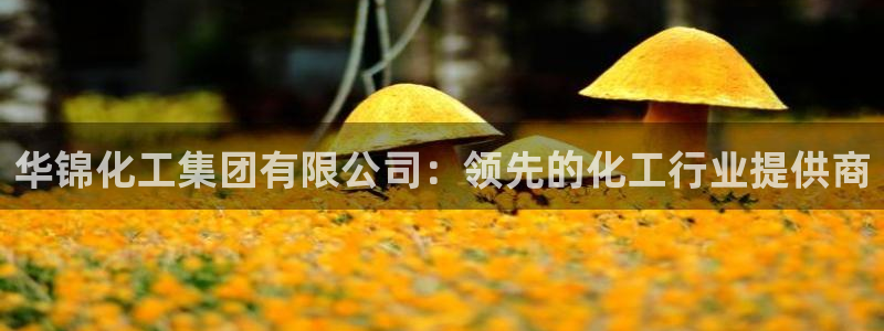 球盟会APP下载：华锦化工集团有限公司：领先的化工行业提供商