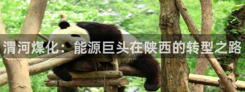 球盟会有没有黑单的球员