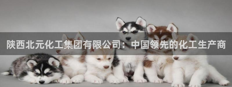 球盟会app最新地址在哪找：陕西北元化工集团有限公司：中国领