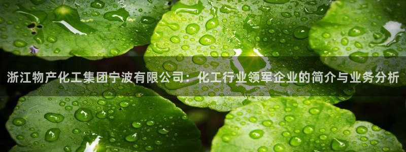 球盟会能退钱吗