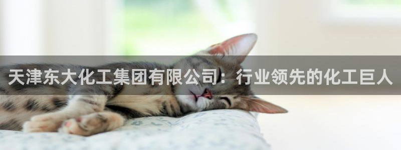 球盟会能退钱吗现在：天津东大化工集团有限公司：行业领先的化工