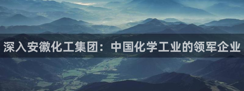 球盟会用的客服聊天是哪个软件