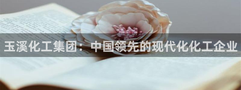 球盟会能提现吗