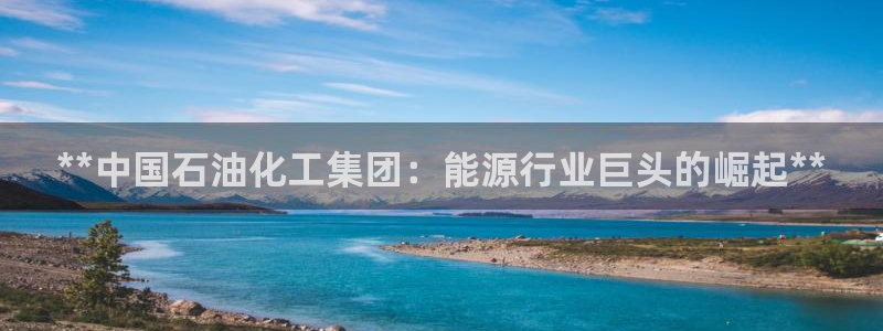 球盟会网址：**中国石油化工集团：能源行业巨头的崛起**