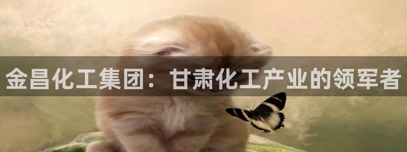 球盟会综合体育平台怎么样