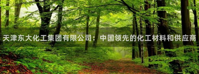 球盟会体验金：天津东大化工集团有限公司：中国领先的化工材料和