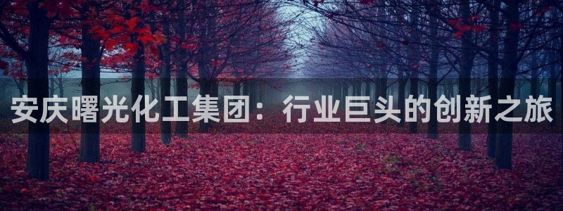 球盟会电子好黑