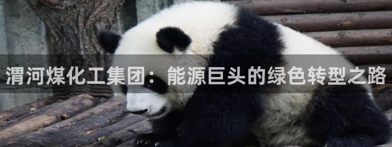球盟会唯一