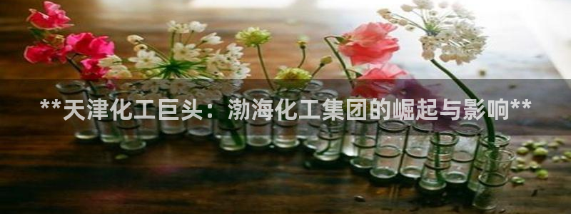 球盟会和中欧：**天津化工巨头：渤海化工集团的崛起与影响**