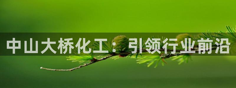 球盟会黑台子：中山大桥化工：引领行业前沿