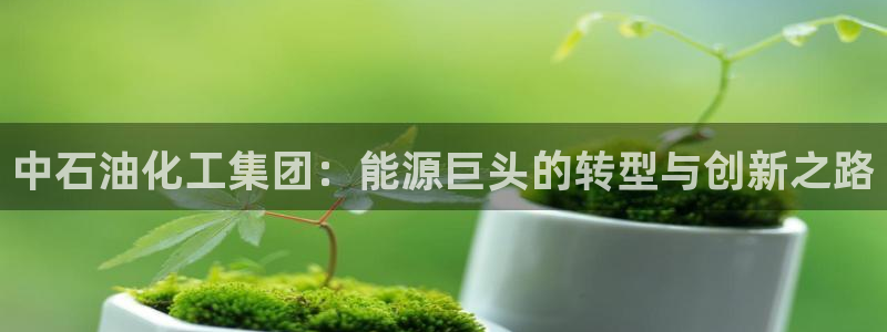 球盟会最新地址备用