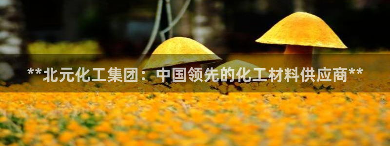 球盟会封号：**北元化工集团：中国领先的化工材料供应商**