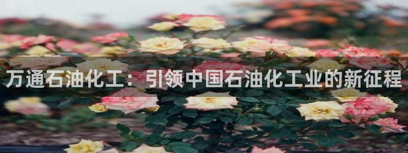 球盟会网页版