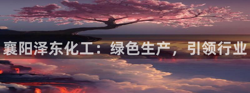 球盟会APP最新地址