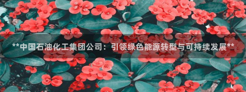 球盟会有没有黑单的球员：**中国石油化工集团公司：引领绿色能