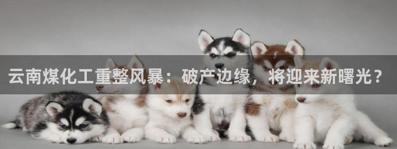 千亿球盟会