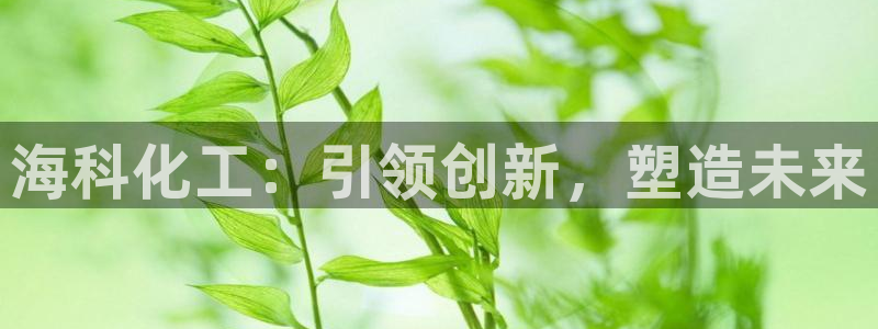 球盟会app：海科化工：引领创新，塑造未来