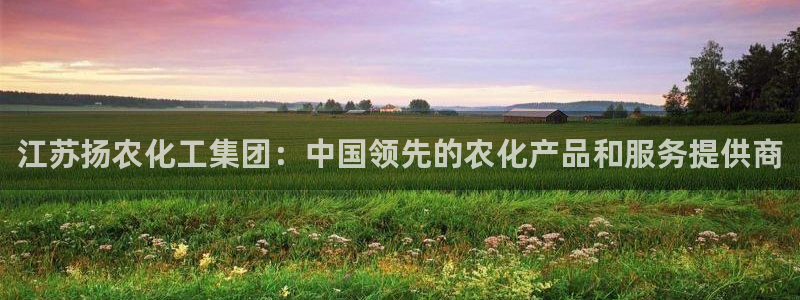 球盟会qm：江苏扬农化工集团：中国领先的农化产品和服务提供商
