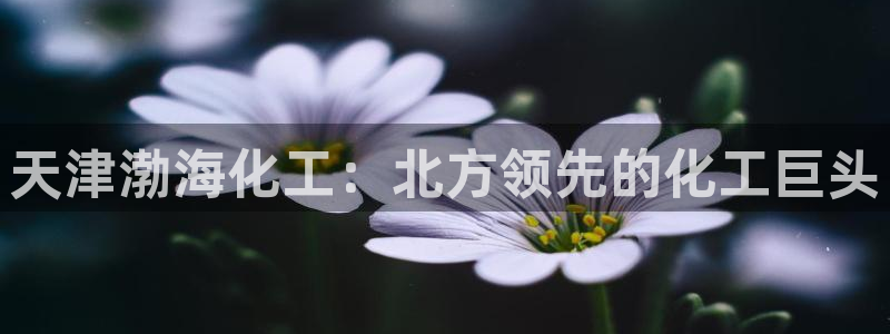 球盟会在线登入：天津渤海化工：北方领先的化工巨头