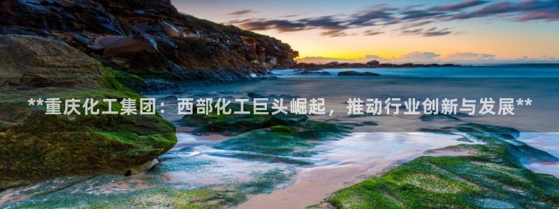 球盟会有限公司怎么样