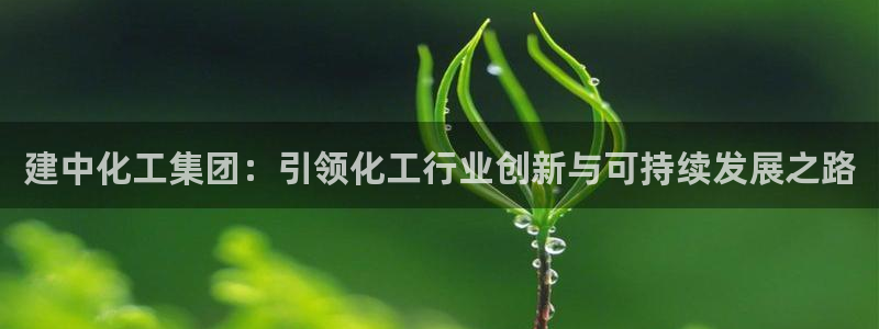 球盟会论坛