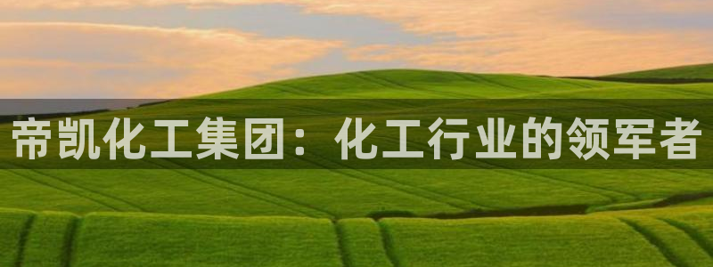 球盟会官方入口