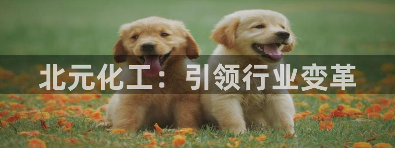 球盟会电子游戏平台：北元化工：引领行业变革