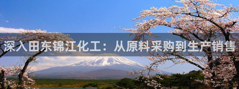球盟会电子好下吗