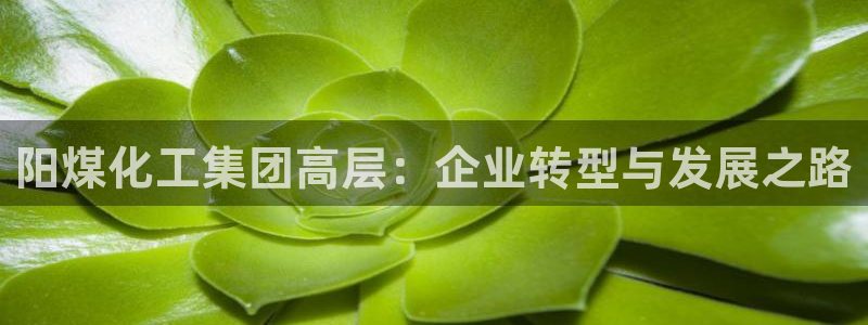 球盟会吧