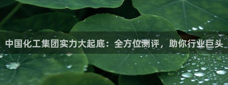 球盟会能退钱吗