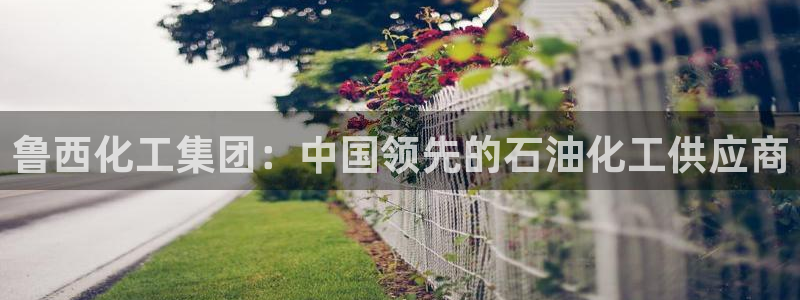 球盟会体验金：鲁西化工集团：中国领先的石油化工供应商