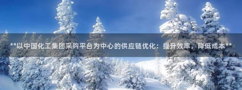 球盟会官方app首页入口：**以中国化工集团采购平台为中心的