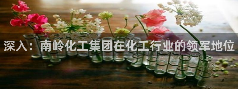 球盟会出款黑了