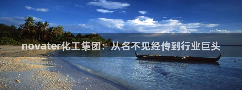 球盟会入口