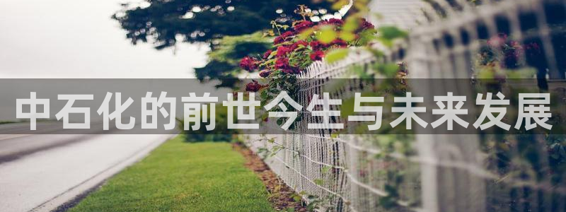 球盟会登陆