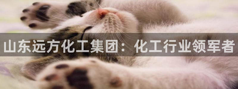 球盟会app最新地址下载