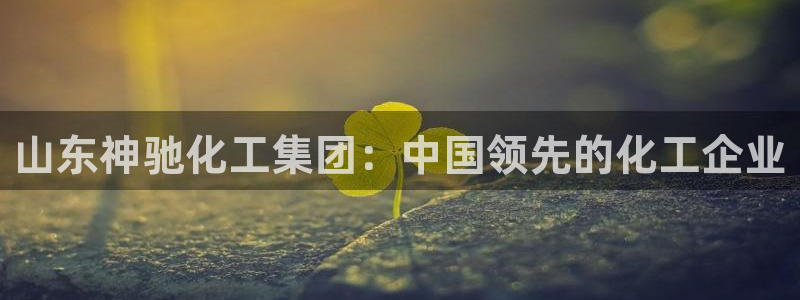 球盟会能提现吗是真的吗：山东神驰化工集团：中国领先的化工企业