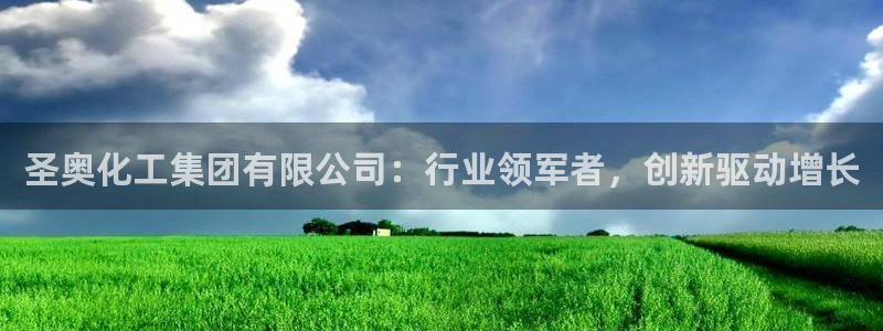 球盟会电子