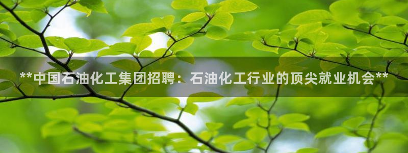 球盟会qmh官网：**中国石油化工集团招聘：石油化工行业的顶