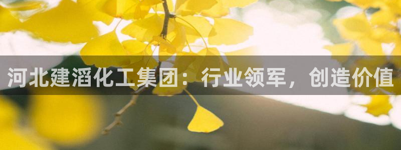 球盟会有限公司怎么样