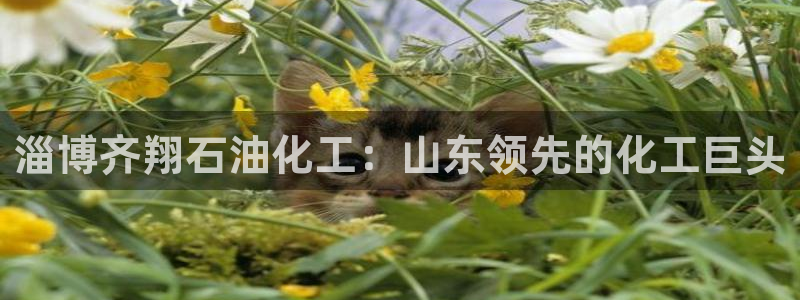 球盟会app：淄博齐翔石油化工：山东领先的化工巨头