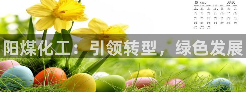 球盟会登录网址：阳煤化工：引领转型，绿色发展