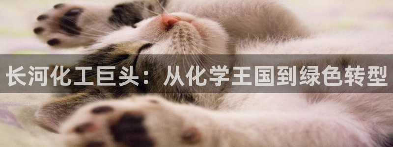 球盟会在线网站