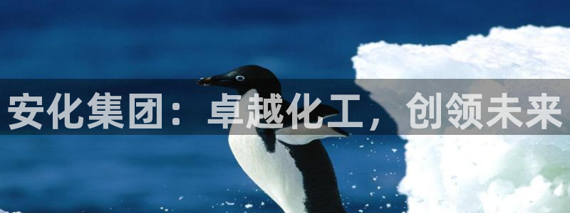 球盟会综合体育平台怎么样：安化集团：卓越化工，创领未来